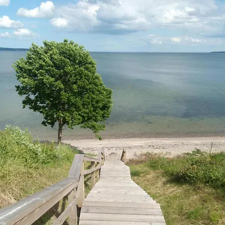 6 Person In Borkop-by Traum