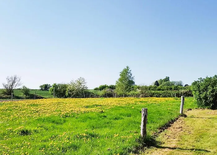 6 Person In Borkop-by Traum * Egeskov (Syddanmark)